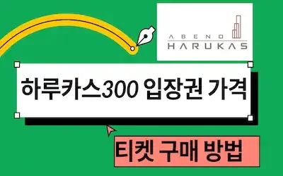 오사카 하루카스300 입장권